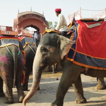 A Passage through India with Kim Jones & Peter Lindbergh [video]